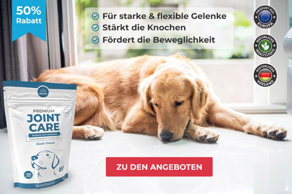 Premium Joint Care Die natürliche Unterstützung Tierlieb