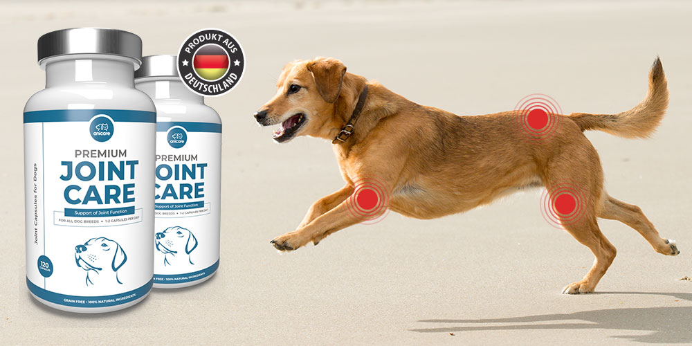 wppremiumjointcare1000x500_v1 Tierlieb