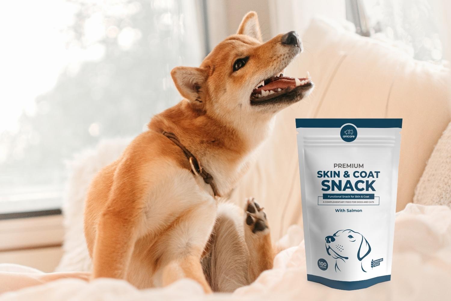 Premium Skin & Coat Snacks ein glänzendes Fell für Hund und Katze