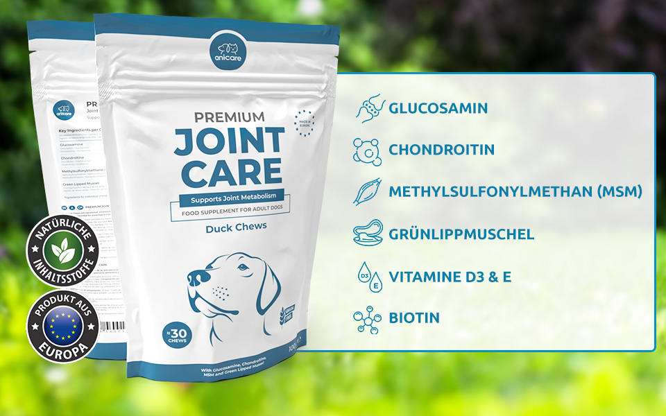 Verpackung Premium Joint Care. Daneben sind die Inhaltsstoffe aufgelistet, von oben nach unten: Glucosamin, Chondroitin, MSM, Grünlippmuschel, Vitamin D3 & E, Biotin