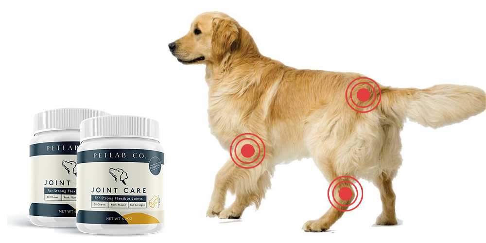 Petlab Joint Care