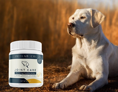 Petlab Joint Care