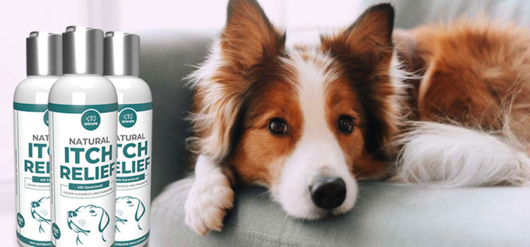 Natural Itch Relief – wie gut ist dieses Hunde-Shampoo tatsächlich?