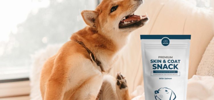 Premium Skin & Coat Snacks – ein glänzendes Fell für Hund und Katze